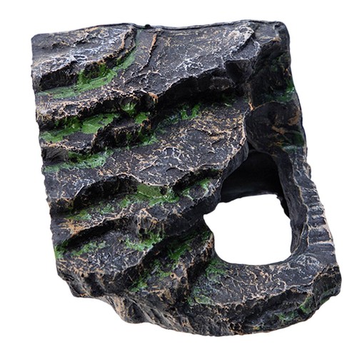 Reptile hiding cave hideout - hiding,