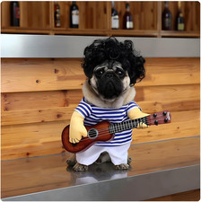 Pet Guitar Costume Funny Dog