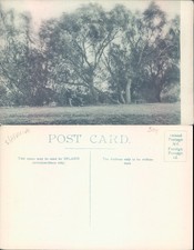 Alexandersfontein near Kimberley South Africa H King Sons Landscape Nature