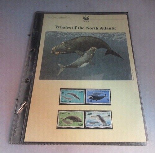 Whales wwf info - wwf, sheets