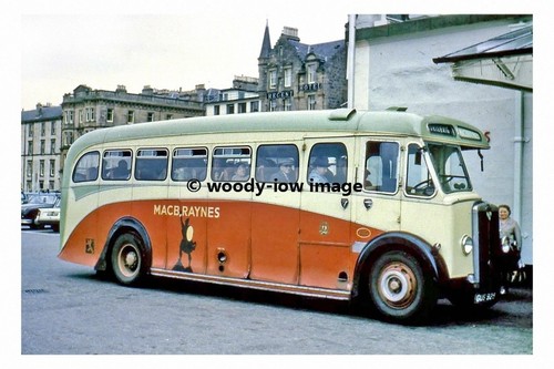 Pt7431 macbraynes bus no - pt7431,