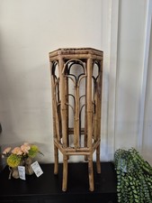 Vintage Tiger Bamboo Plant