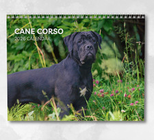 Cane Corso Calendar 2026: Monthly Wall Calendar with Notes, opens to A3