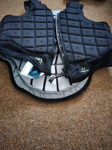 Champion ti22 body and - ti22,