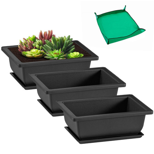 Pack inch plastic bonsai - inch,