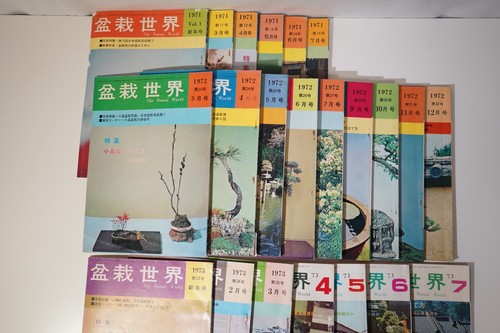 Vintage japanese bonsai - vintage,