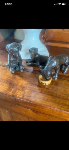 Great dane puppies bronze - great,