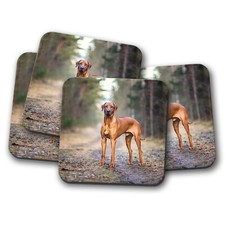 4 Set - Beautiful Rhodesian