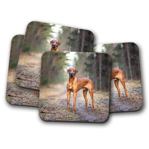 Set beautiful rhodesian - -,