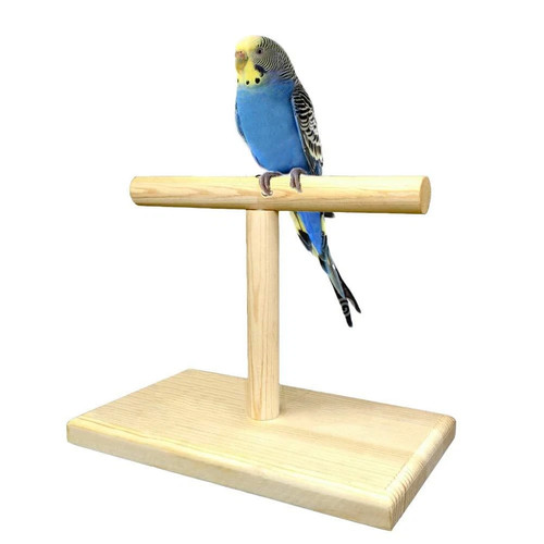 Bird training stand portable - bird,