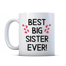 Best Big Sister Ever! -