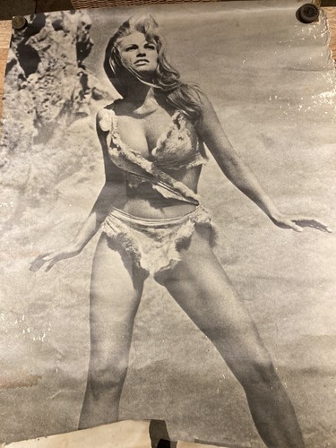 Vintage raquel welch - vintage, one