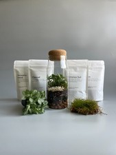Bottle Terrarium Kit - H: 21cm