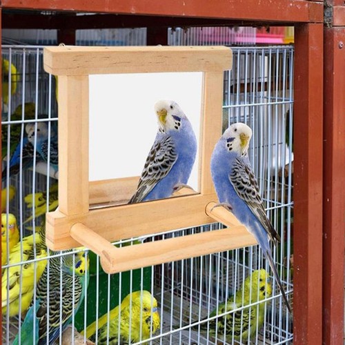 Birds mirror for cage - birds,