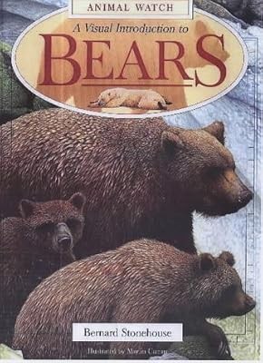 Visual introduction bears - introduction, to