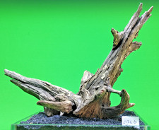 Large Corbo Root CBL6 CAVE