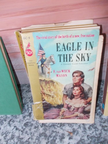 Eagle the sky f van - sky,, by