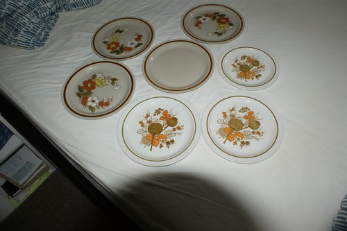 Choice vintage midwinter - choice,