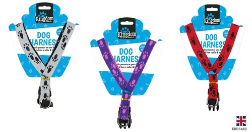 Dog pet puppy - puppy, harness