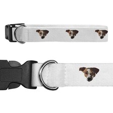 'Jack Russell head' Dog Collars (PR053118)