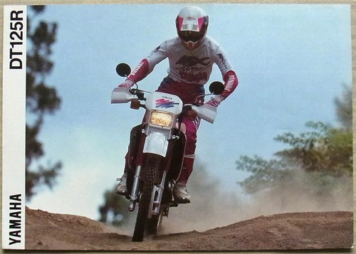 Yamaha dt125r motorcycle sales - yamaha,