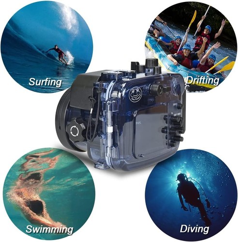 Sea frogs 195ft 60m underwater - sea,