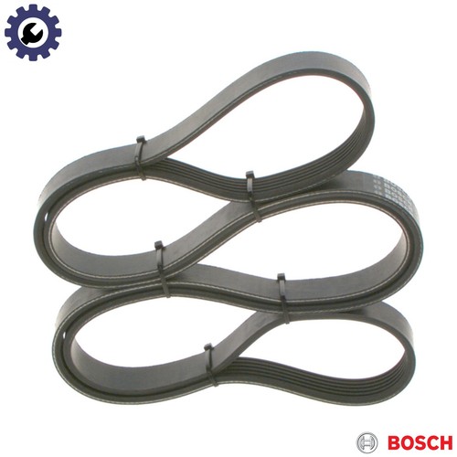 Vribbed belt 987 946 031 - vribbed,