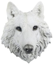 HUGE 46.5CM WHITE WOLF HEAD