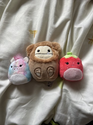 Squishmallow bundle which - squishmallow,