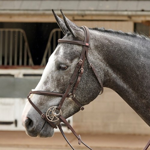 Whitaker ready ride mexican - ready,