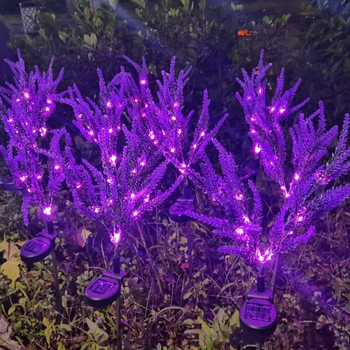 Solar powered lavender lights - powered,