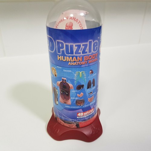 Puzzle human body - 4d,