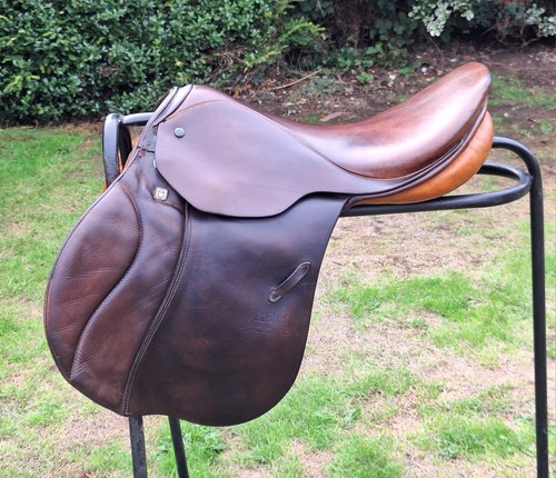 Smart brown stubben siegfried - smart,