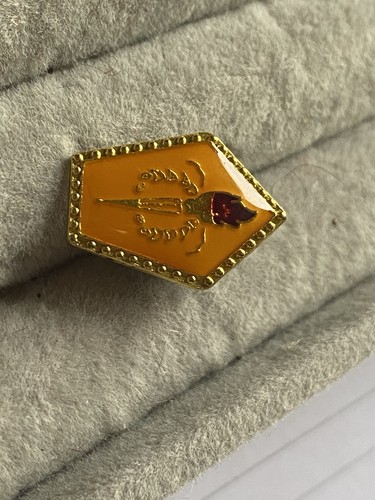 Gold toned olympic flame pin - gold,
