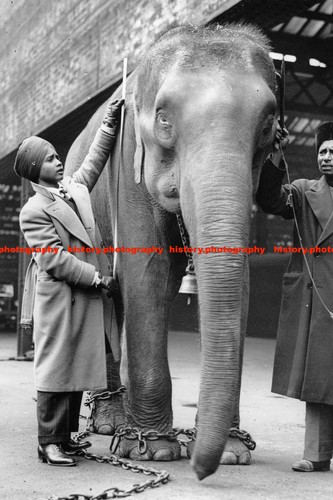F022520 circus act - act, a