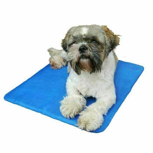 Rosewood chillax cool pad - chillax, dog