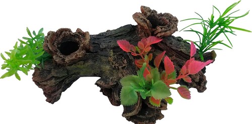 Log with plants - with,