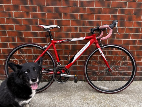 Dawes giro 300 road - giro, bike