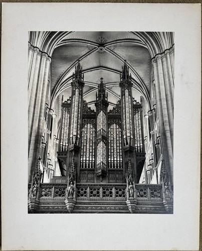 English gothic cathedral - gothic,