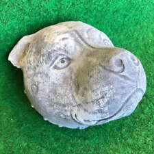 Concrete Staffy Dog Head