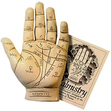 PALMISTRY HAND KIT Includes