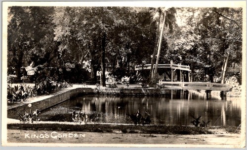 Rppc postcard kings - postcard, garden