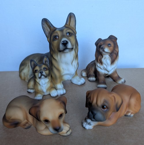 Harvey knox hhh - 4, dog