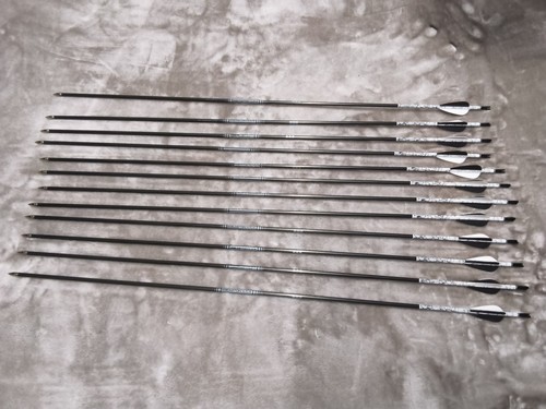 18x easton ace - archery, arrows