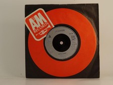 JIM DIAMOND HI HO SILVER (74)