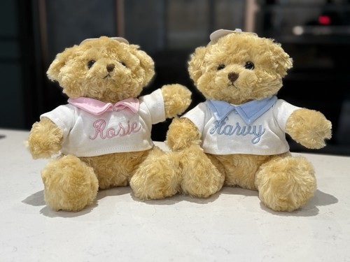 Embroidered teddy bear new - teddy,