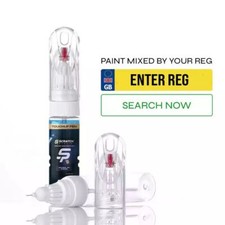 Ford Ranger Wildtrak Touch up