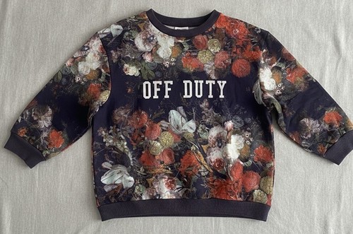Zara trafaluc sweatshirt - zara,