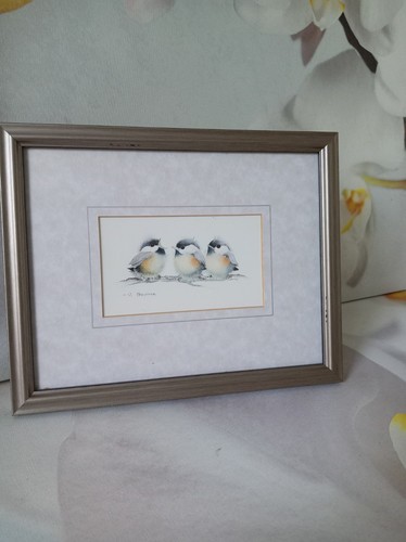 Framed bird print pfeiffer - v.,