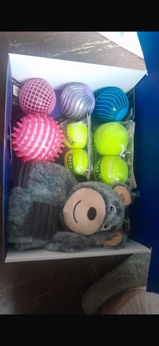 Mixed dog toy box - mixed,